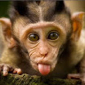 Meet your Posher, Karina